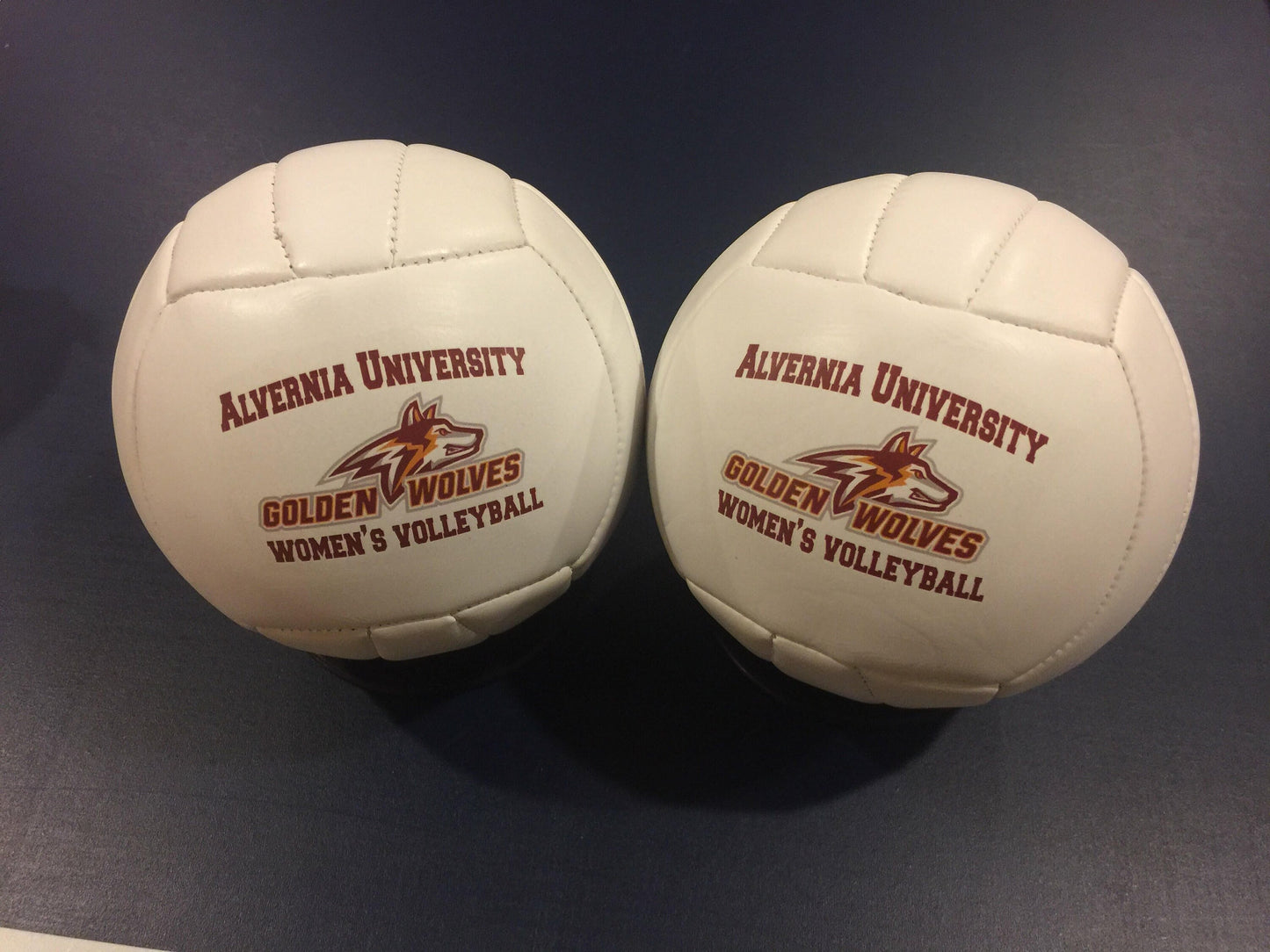 Custom Made Personalized Custom Mini Volleyballs for Coaches' Gifts, Senior Gifts, Team Awards, Sponsor Gifts, and Volleyball Player Gifts