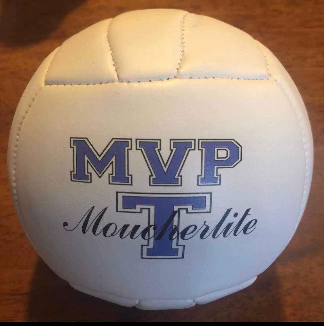 Custom Made Personalized Custom Mini Volleyballs for Coaches' Gifts, Senior Gifts, Team Awards, Sponsor Gifts, and Volleyball Player Gifts