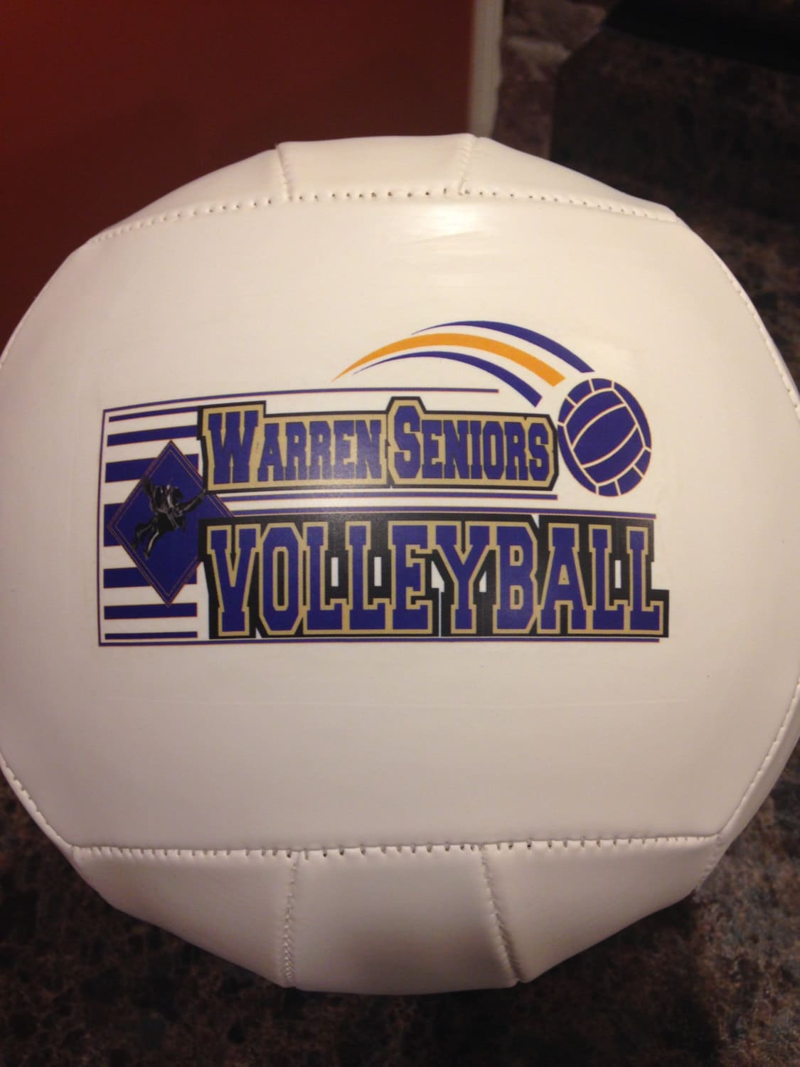 Personalized Custom Regulation Size Volleyballs for Volleyball Coach Gift, Senior Gift, Team Awards Sponsor Gift and Volleyball Player Gift