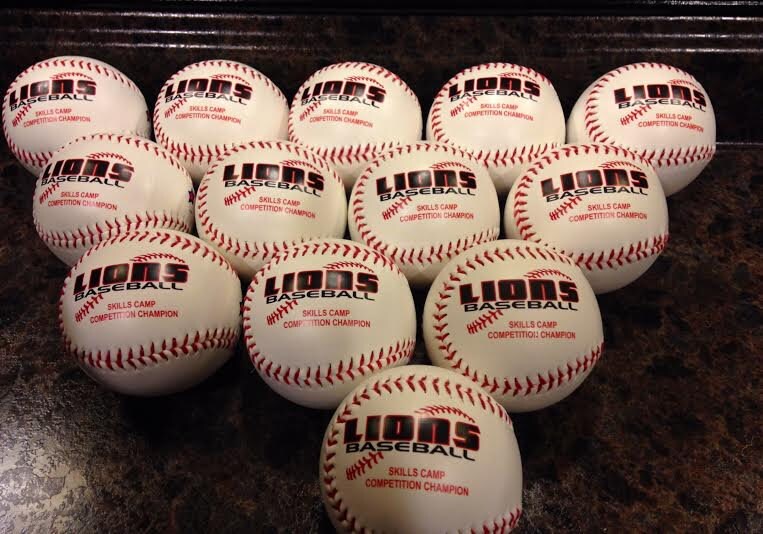 Personalized Custom Made Baseballs with Your Photos, Baseball Gift for Baseball Coach, Seniors, Team Awards, Sponsors, Awards, Memorabilia