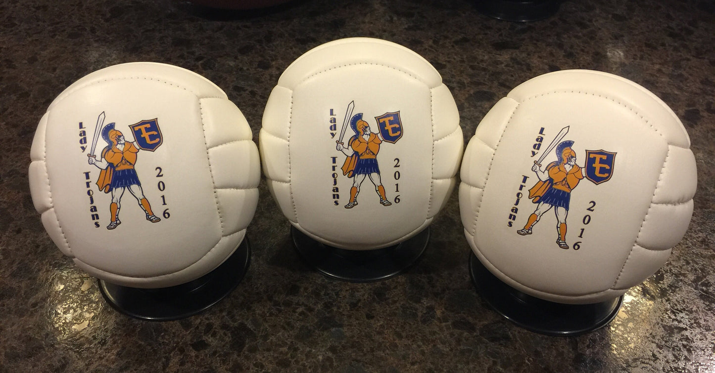 Personalized Custom Mini Volleyballs for Coaches' Gifts, Senior Gifts, Team Awards, Sponsor Gifts, and Volleyball Player Gifts