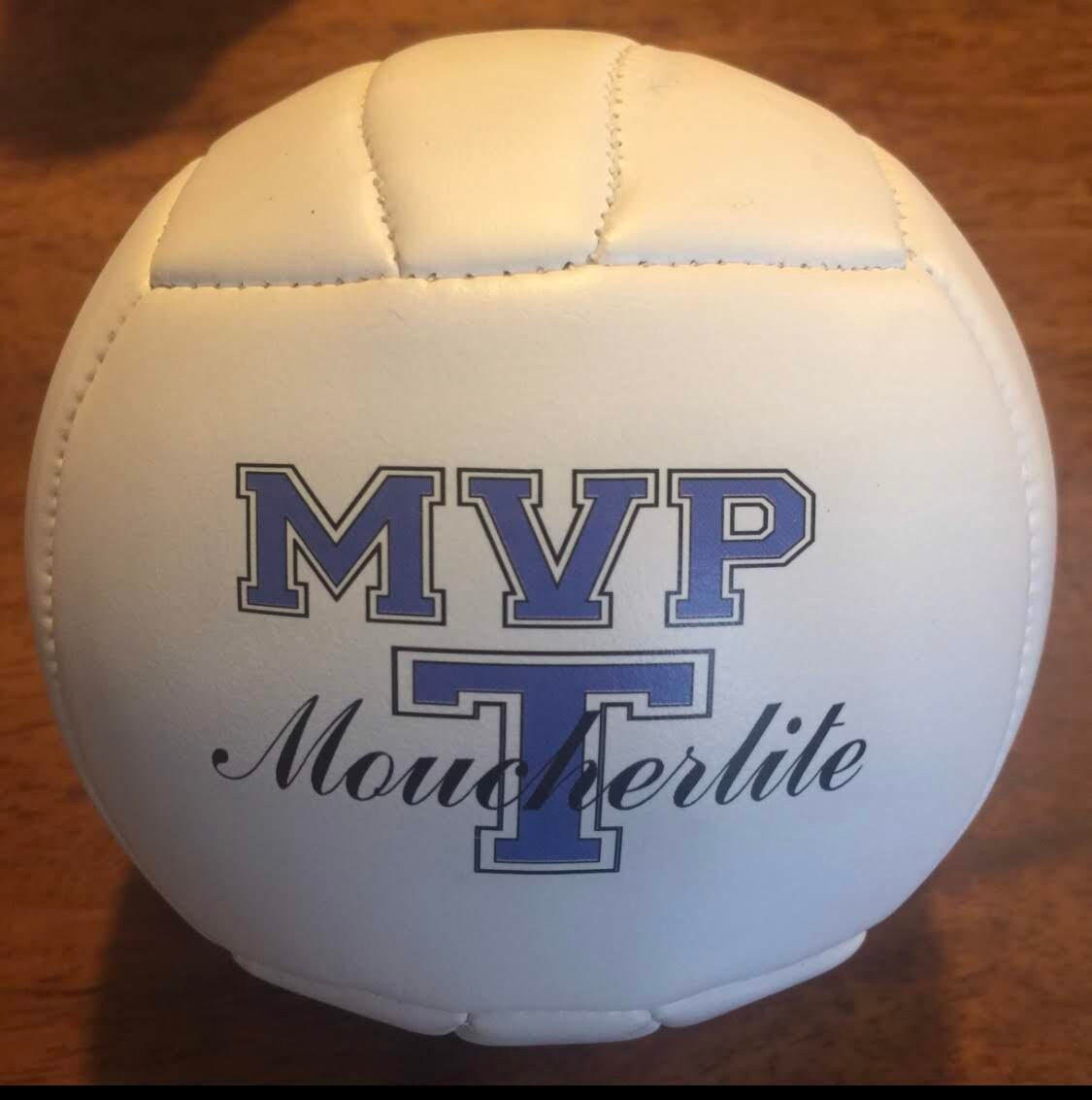 Personalized Custom Mini Volleyballs for Coaches' Gifts, Senior Gifts, Team Awards, Sponsor Gifts, and Volleyball Player Gifts